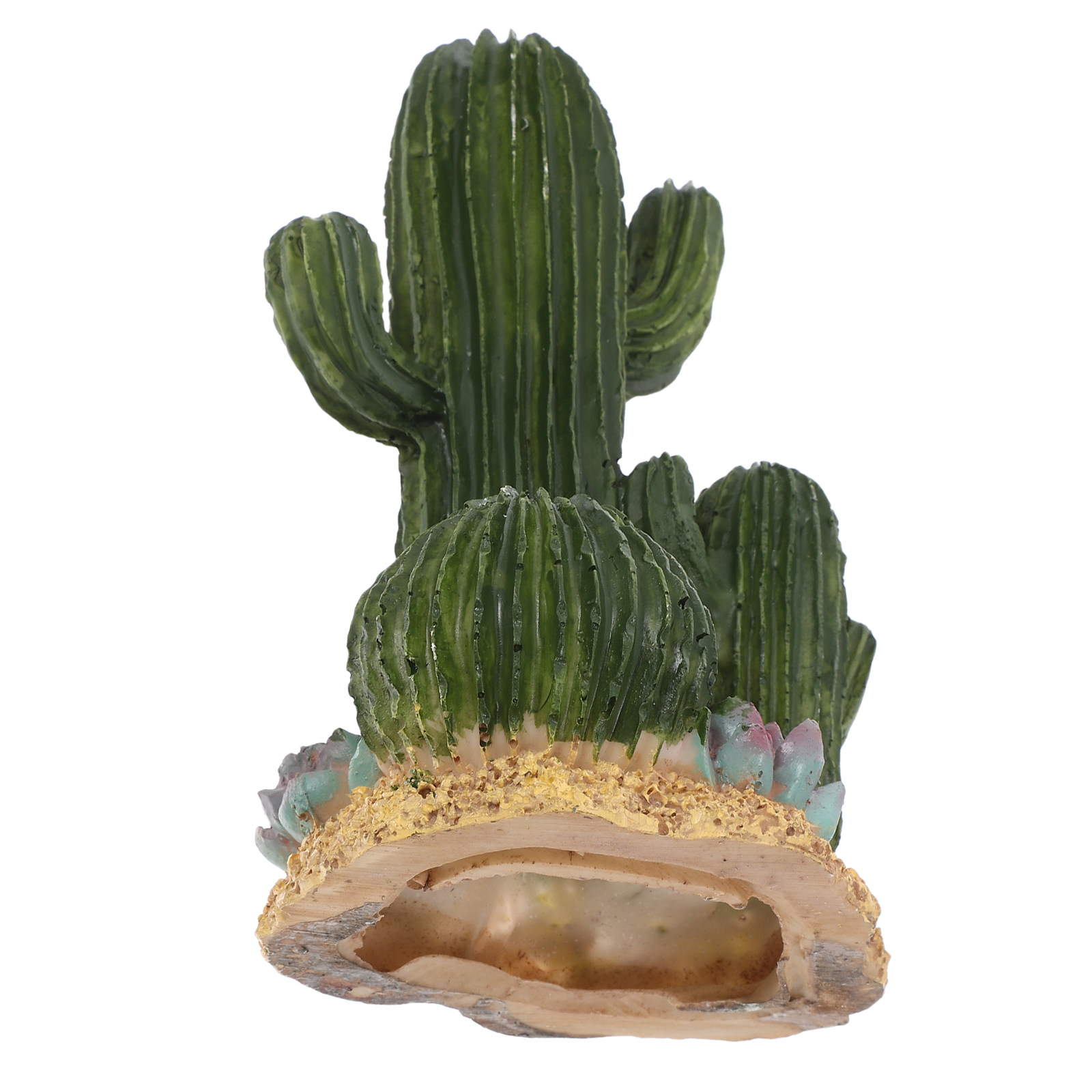Planta de Cactus Artificial Gr - Terrarium Moss Art reseña y precio