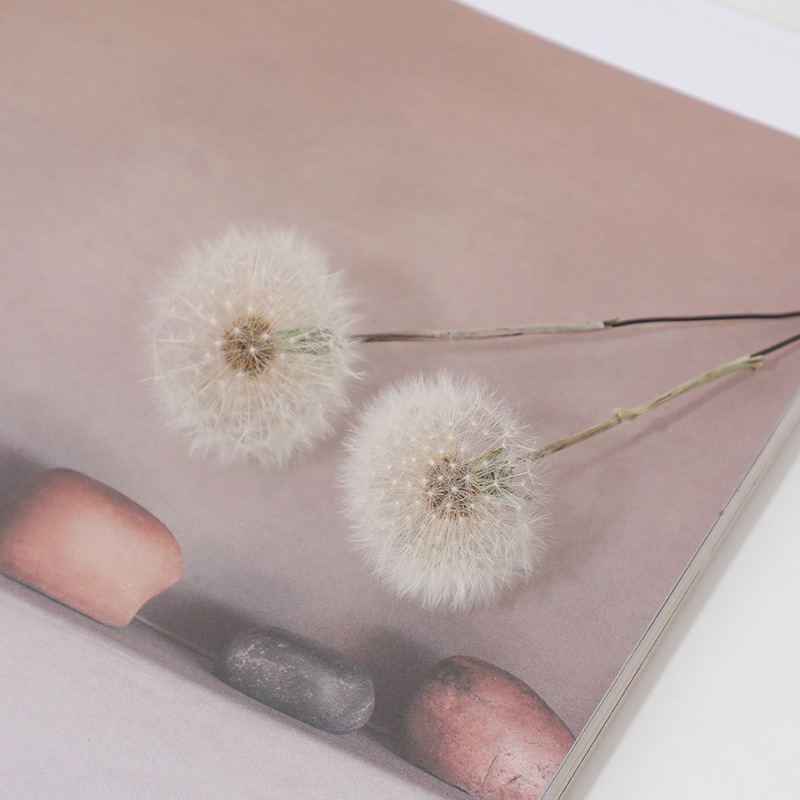 Kit de Manualidades con Resina - Resin Craft Kit reseña y precio